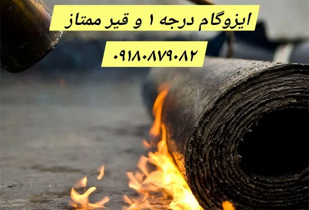 شرق مشهد ایلیا بارثاوا - ۶۹۳۶ مشهد - ۷۸۳۵ جاده کلات - شرق ۶۷۳۶ ۶۷۳۶